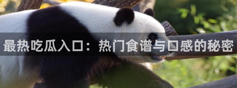 直播吃瓜公开回应