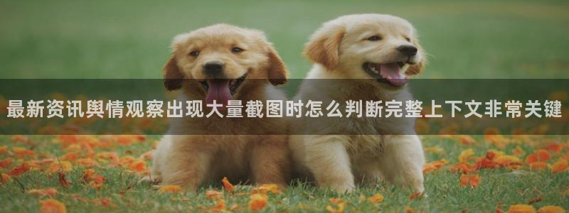 吃瓜爆料信息核验