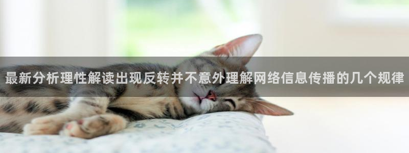 娱乐吃瓜信息核验