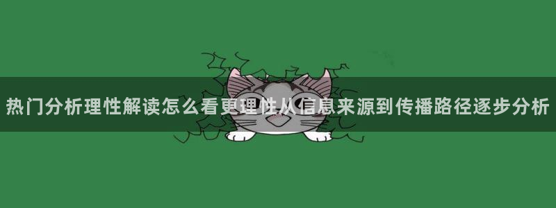 理性吃瓜事件始末