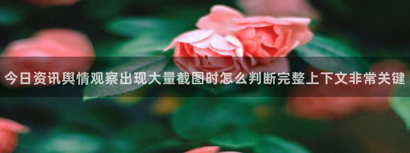 独家吃瓜来源梳理