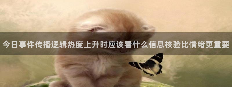 职场热点完整时间线