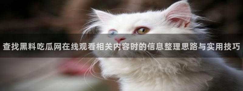 网络热点原始出处