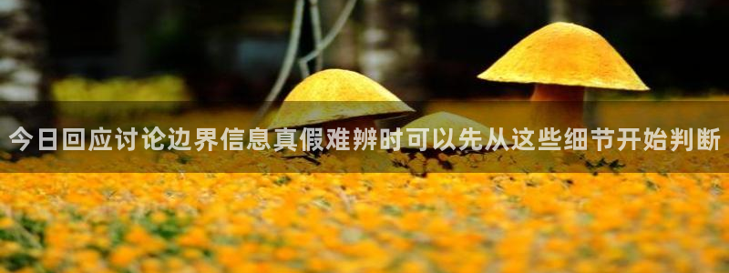 吃瓜新闻